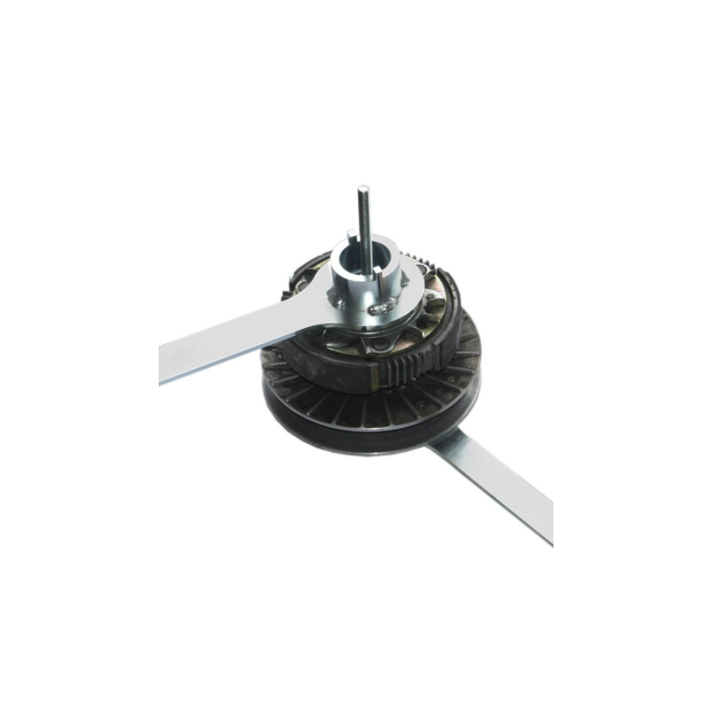 Étoile De Variateur Buzzetti Peugeot Horizontal - Pièce Détachée